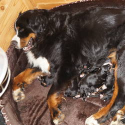 Sasu und ihre Kinder