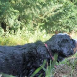 Früh übt sich, wer einmal ein Gärtner werden will