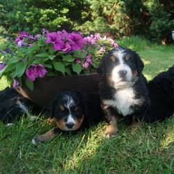 Total geschafft vom Tag