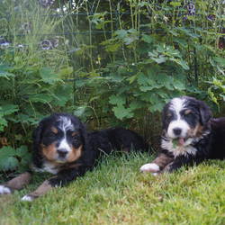 Drei entspannte Kinder