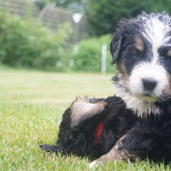 Es wird ganz schön gekämpft