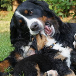 Sasu und ihre Kinder