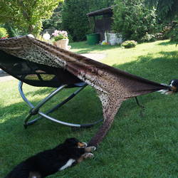 wir können alles gebrauchen