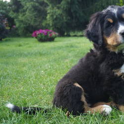  ja Tequila Maus bleibt bei uns