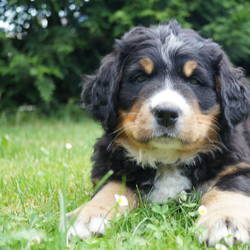  Hanna ist bei uns in Luth.Wittenberg zu ihrer Familie gezogen