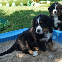 Unsere spielenden Kinder