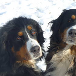 Ari (re.) und ihre Mutter Pia - Feb. 2012 