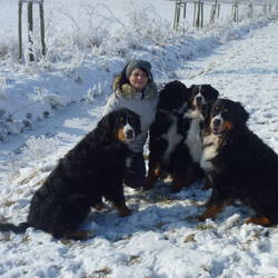 Ein schöner Tag im Winter 2012