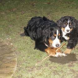 Sasu mit ihrer besten Freundin Nala