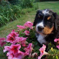 unser Blumenkind Tequila